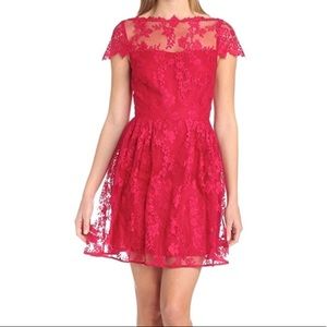 NWT Cynthia Steffe dark red lace cocktail dress